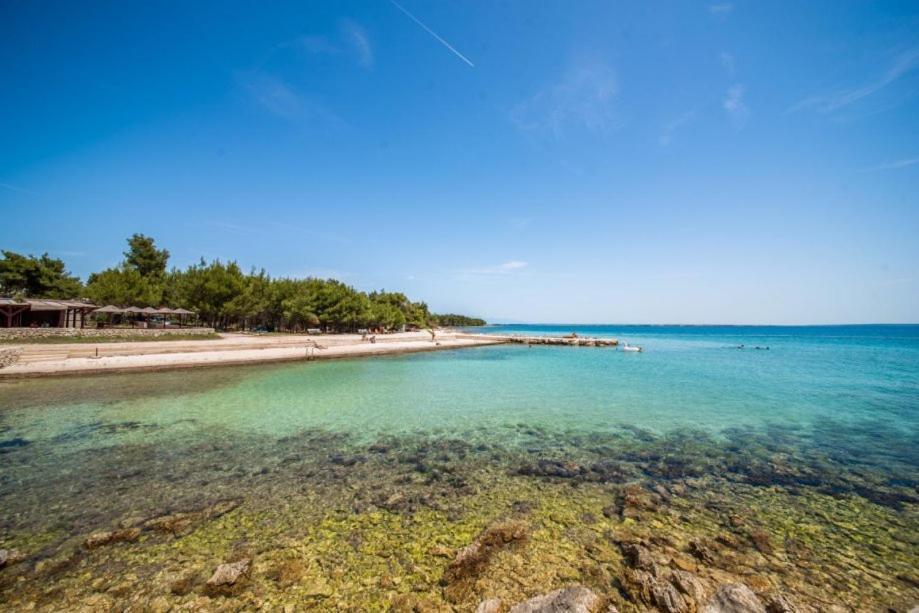 Apartman Bozica Vir Bagian luar foto
